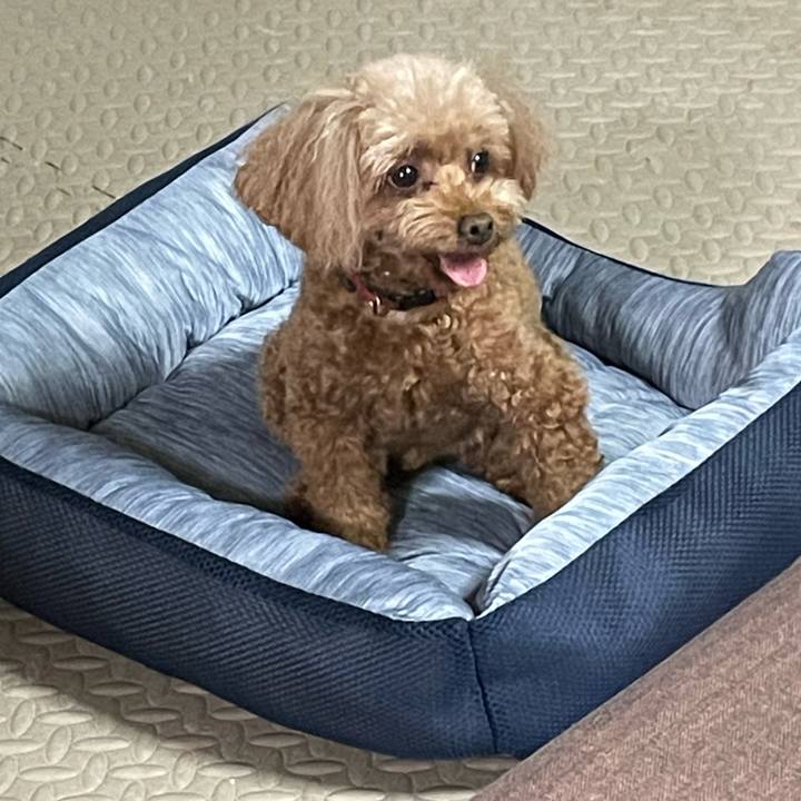 Faea01b1 7289 4359 b141 540bef4a4be3 1720265854604