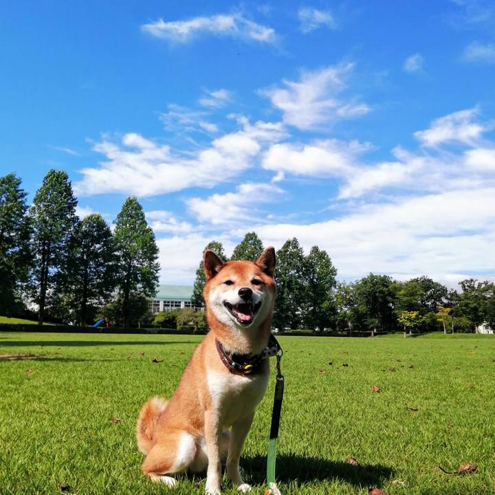 Faea1830 153e 47b2 9f9e 43bd1b1ac49c 1629332780026