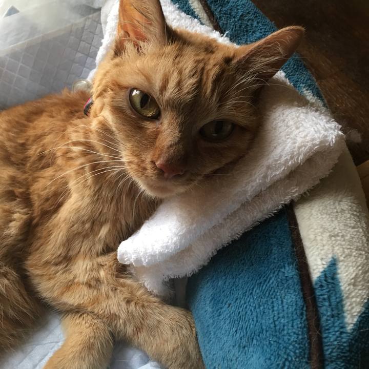 Faea2cb1 99d3 487f b575 e22379a78792 1559099624115