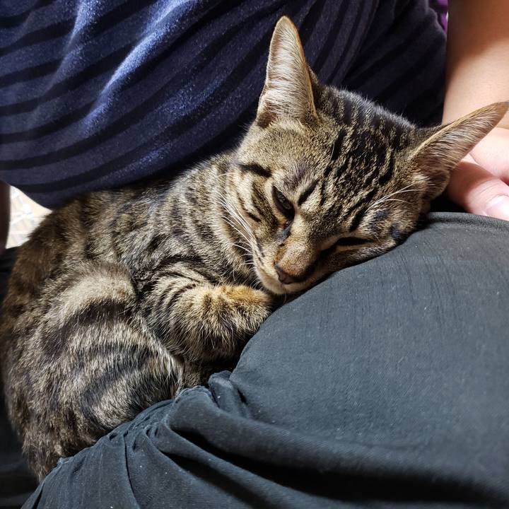 Faea32f2 7421 48ad ad3b 5191320c7f22 1545194136496