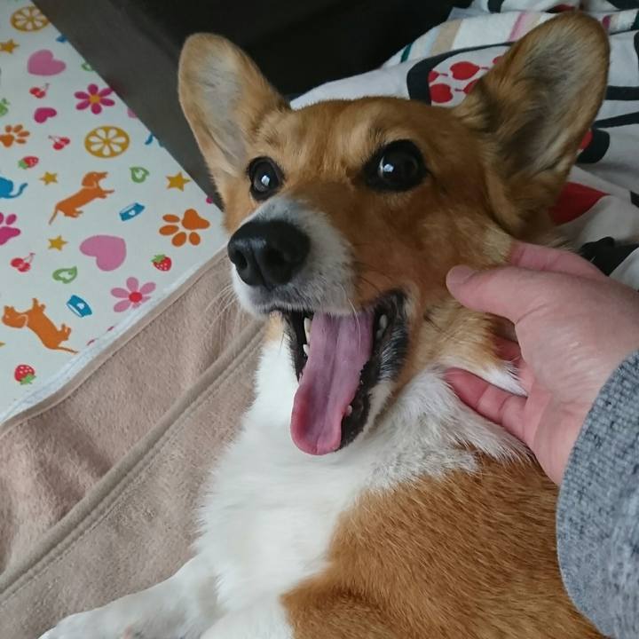 Faea36a1 9ff7 421c 9fe1 912ae2b45bad 1519605676181