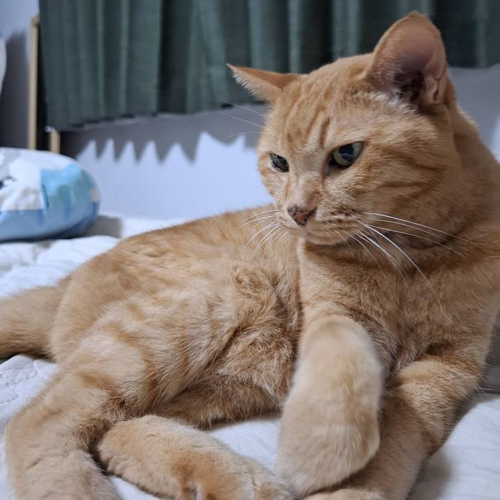 Faeaad2c 8915 40f2 bb62 e741a401a437 1754315531412