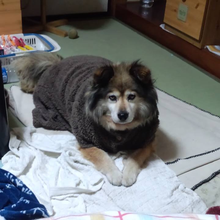 Faeaf7f4 30aa 471e 86d5 8fd54920ad8a 1659681704962