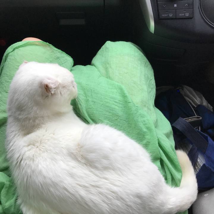 Faeb21a0 472c 4b82 9512 473b3d846c1e 1563603783677