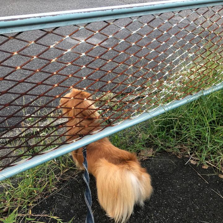 Faeb575b ab14 440d aced 10daf963a0cf 1537219507461