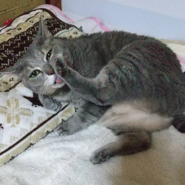 Faeb659b 1311 42f9 bc41 5d5164195e60 1605389759765