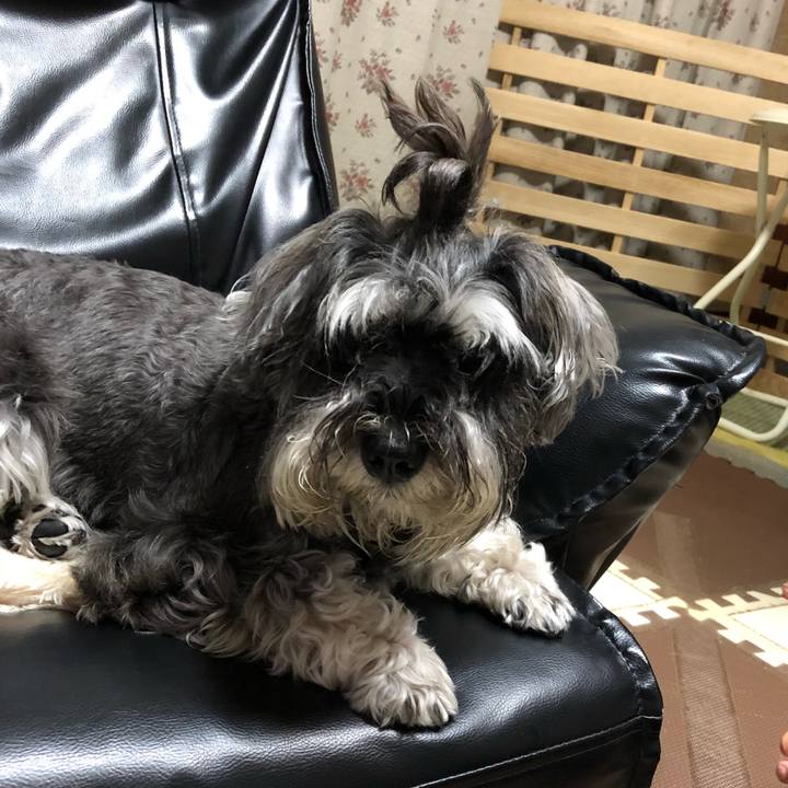 Faeb753c c23f 4ee0 83cd ec2661802cb1 1531488296467