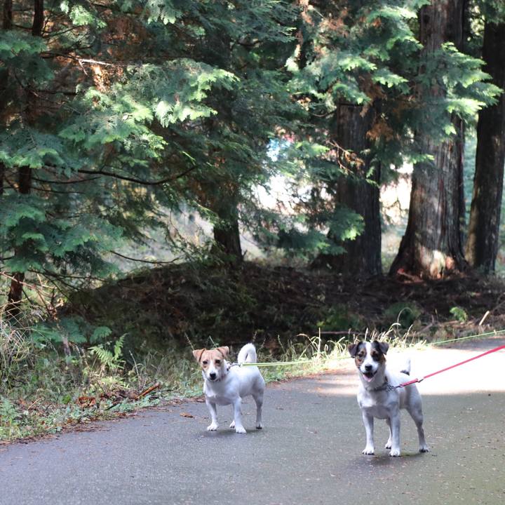 Faeb7d67 8a49 45d9 82c8 8aaba38fd19d 1541837107548