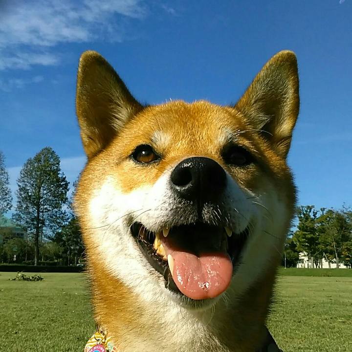 Faeb8467 dd2c 46b6 ace1 13d93ff9d1b1 1538355663926