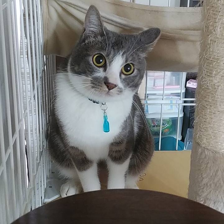 Faebadaa 446f 4bf5 856f 2849ef27e33b 1588460403730