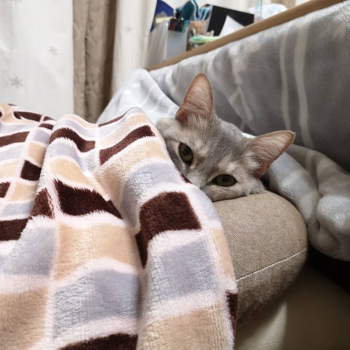 Faebb9e7 6f0a 4335 906e a1f2fb52e97e 1579751102929