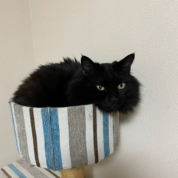 Faebd54e 20ed 4147 ab37 21781e73786e 1622561682634