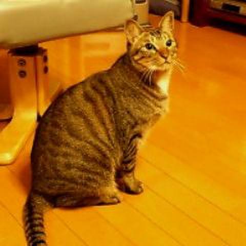 Faec0d4a 4a8f 4f5e a23a b60acdaa6cce 1729548227008