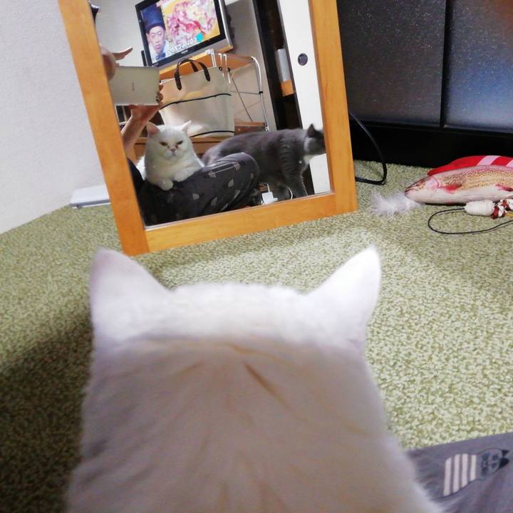 Faec114a 3976 4f12 89c5 1116ded5a7bc 1730153931601