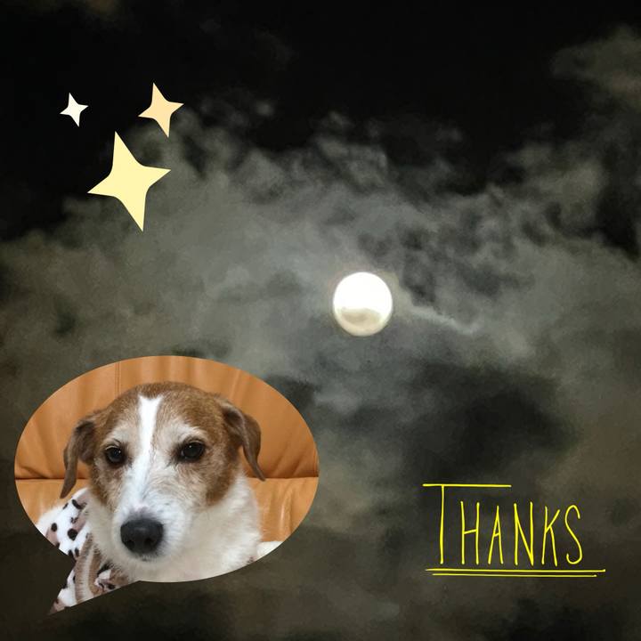 Faec2503 cdd2 4a37 927b 6cd499ce6b68 1695986865146