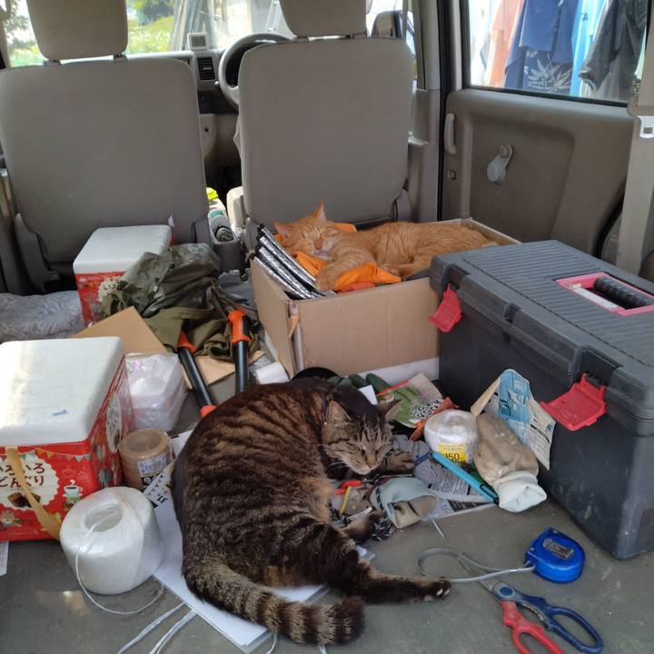 Faec3442 c772 411f a9b6 024f5f0ecb10 1747388799484