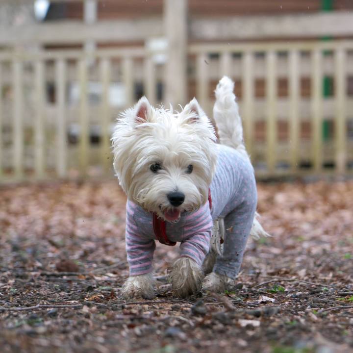 Faec3a3e d533 448d b38d 876a6a8cb9a9 1523232126187