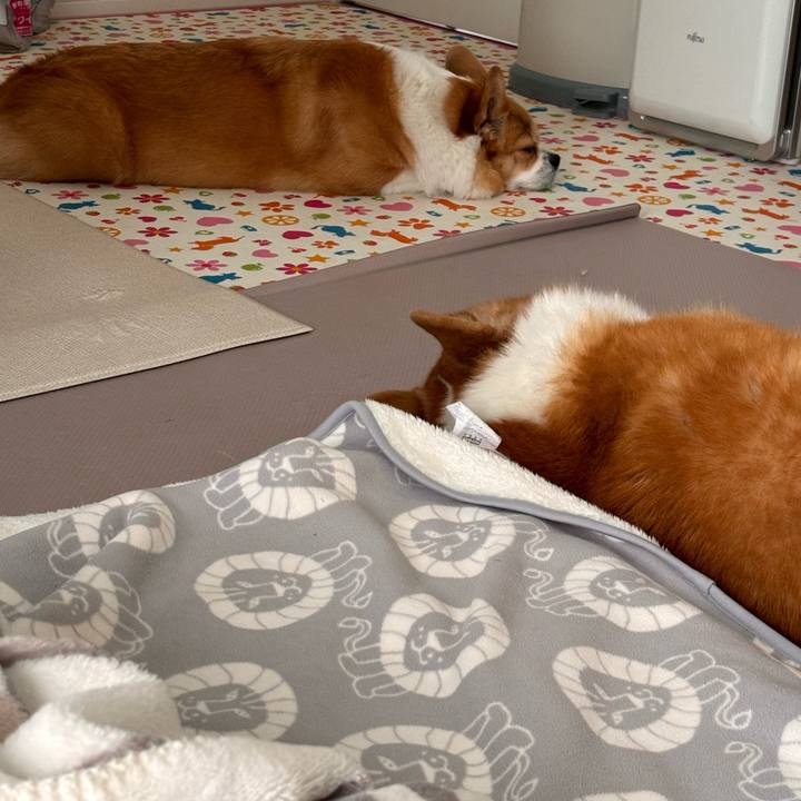 Faec6565 03cb 4541 a57a 2095dbad07d2 1761393676258