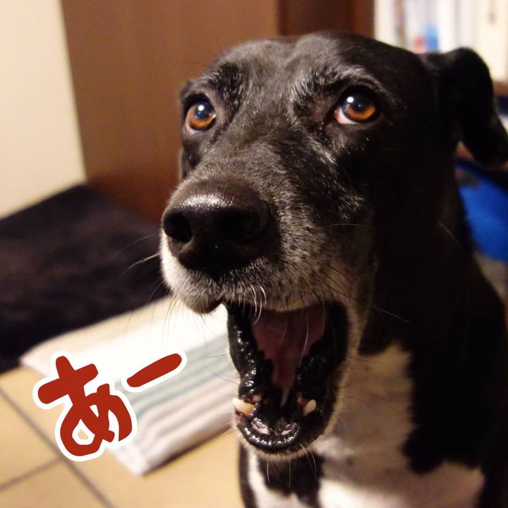 Faec74a9 8076 4d24 9b3a a5f483941b2a 1733013096514