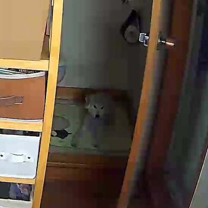 Faeca735 26ed 4aba 8723 5270f87a19ce 1622700620486