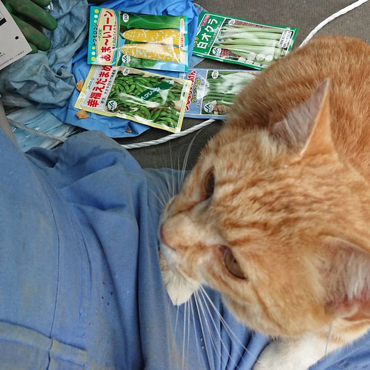 Faecb502 9c99 4d04 865c 354f90469150 1590440718250