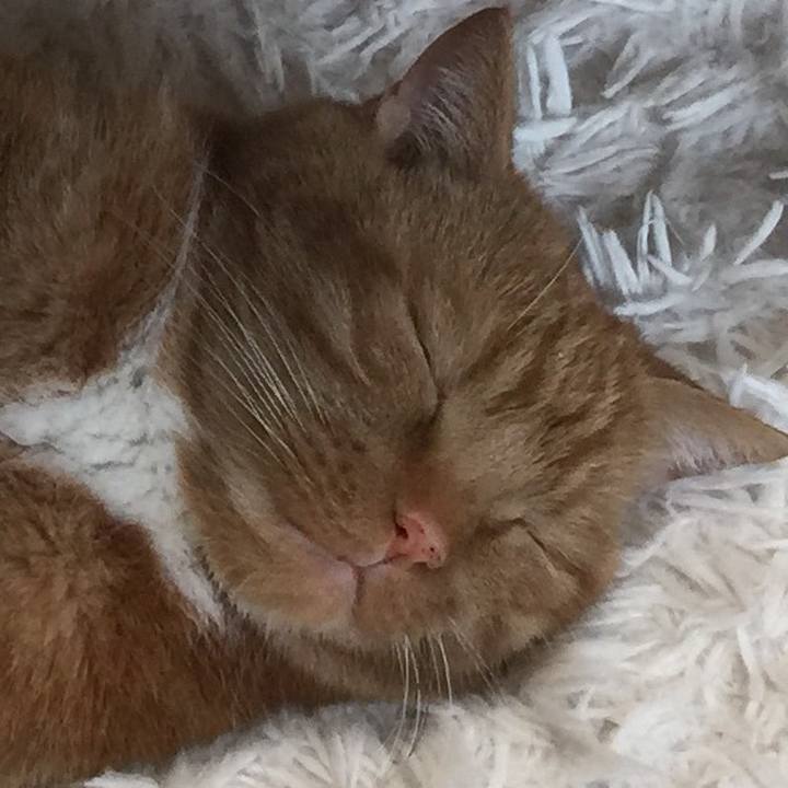 Faecc369 0380 4c19 9610 6640f03b4c61 1591421791475