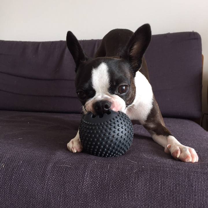 Faed2e26 2044 4dc2 bbe5 942ca8b87e6a 1540532451660