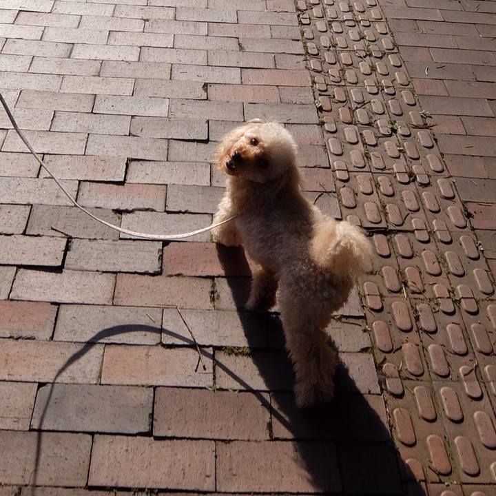 Faed9061 1990 4df8 a1d5 6374c025f9f0 1529055730279