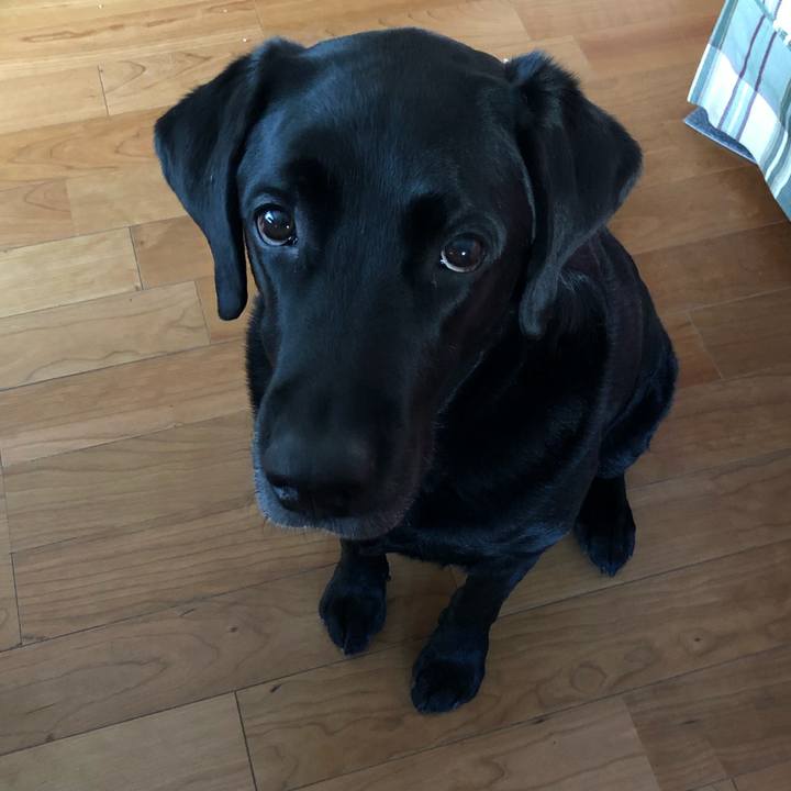 Faeddff9 310a 46fc 99f0 85cf8199bd82 1640999936423