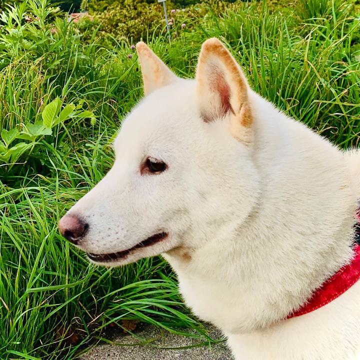 Faee0548 c2ec 44d5 b9f6 764551ffc8be 1600207299865