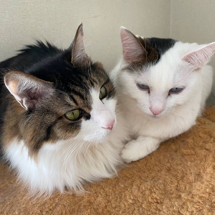 Faee2566 0c3d 401e a8e7 5f4de5efeefc 1613806091706