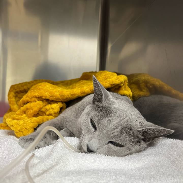 Faee6eae 9563 409e 998f 93db84360007 1642429131396