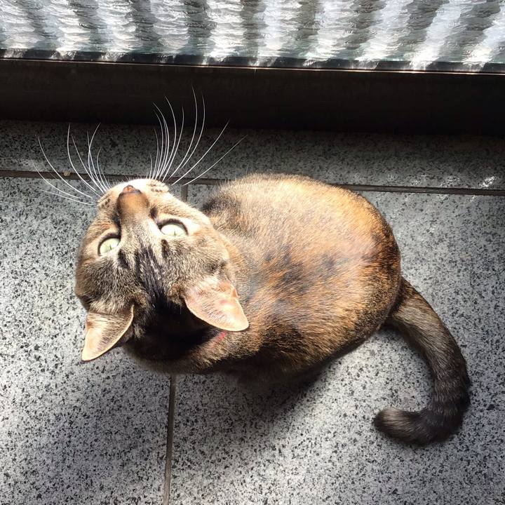 Faee86f1 db43 4946 b9d6 e3570d7dc737 1679223548978