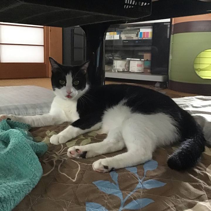 Faeebfad ca47 4a19 bd66 391fb3a0157e 1696413202352