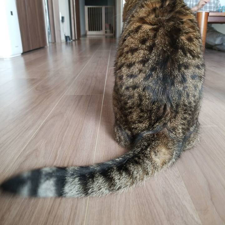 Faef1c28 0985 4270 bc78 bb826115d009 1582500332760