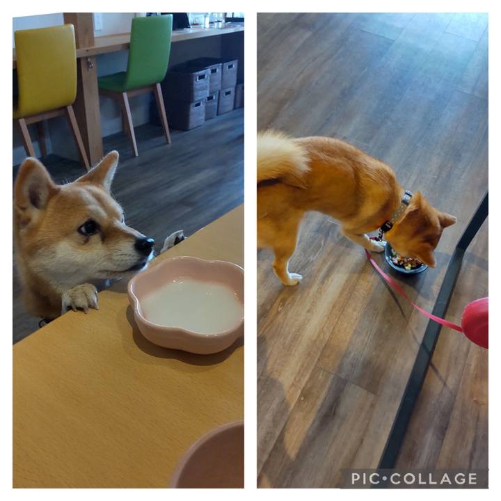 Faef2578 d159 4b09 b783 89a77c48f535 1714367161227