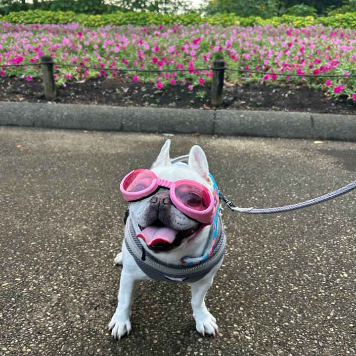 Faef2e34 f68d 4cb0 9198 90828d610182 1751780026932