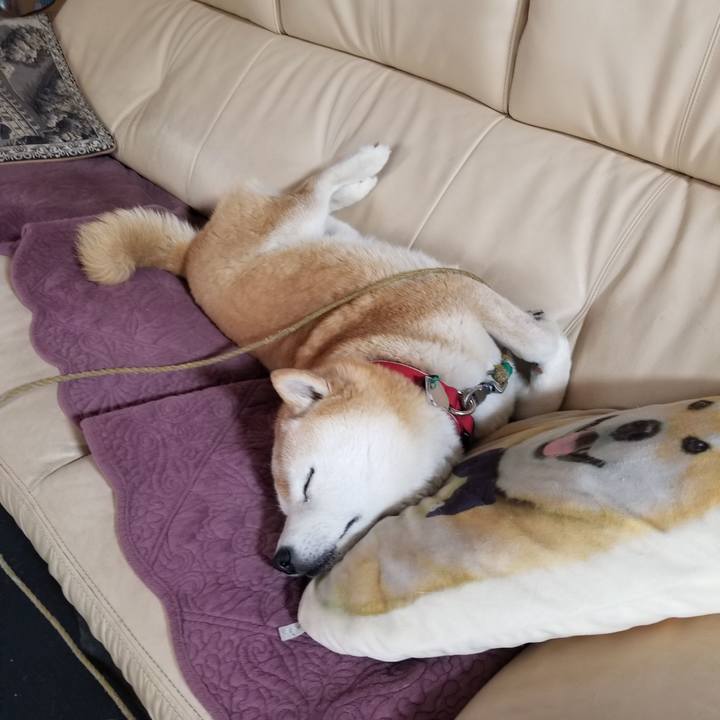 Faef5ef7 cadf 4a21 ad14 c812cf4e8e9e 1716765453857