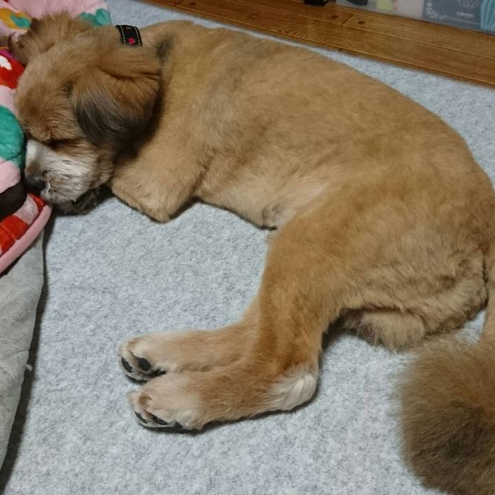 Faefa791 45fd 46ce 9ef1 eabbeb4133e3 1526466828505