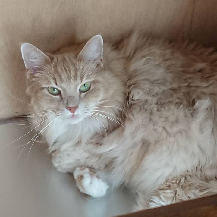 Faf0231d 9cef 4c1d acf6 0401ad827926 1567816951683