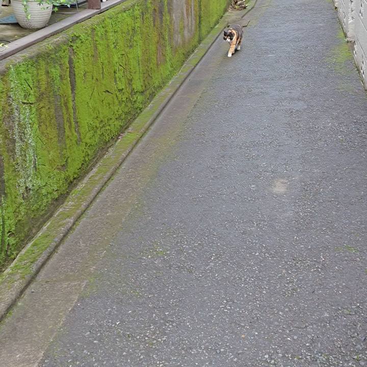 Faf025dc 3553 41d6 85d6 e54cb99dc084 1680147494265