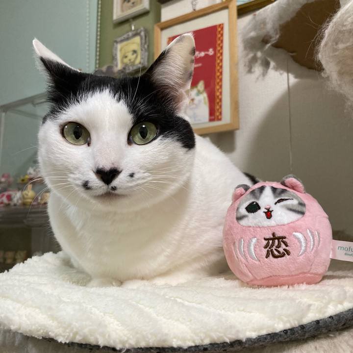 Faf064a4 9ed3 47ec a1ed 2ef7b8c0921b 1769601948707