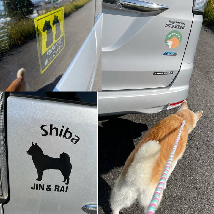 Faf0a445 1d9e 4a81 818d dbd66d2fb3da 1635587708973