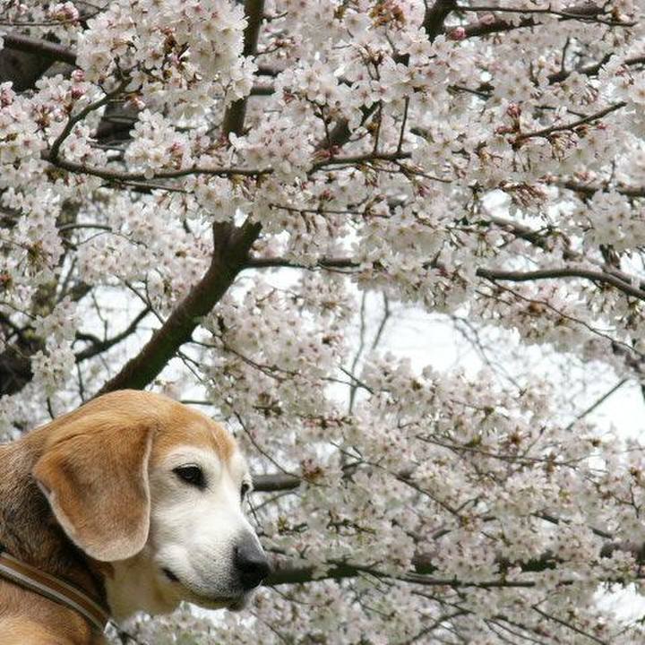 Faf0a5b2 6c97 4d49 9173 06f9152bcbd1 1553895228806