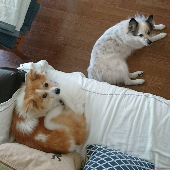 Faf0cdf8 39d7 4632 b3dd 115fa9d0f728 1535970774193