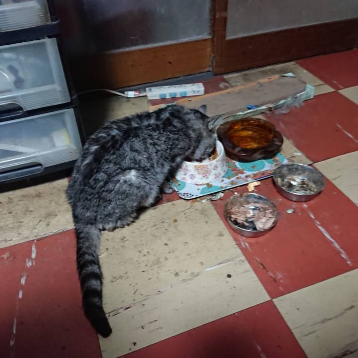 Faf0de55 6b1d 4cc2 a899 c11aa36e80a3 1579385507878