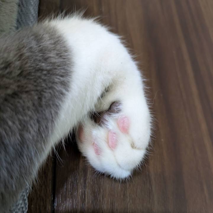 Faf10465 917c 4da3 ac5d 9bd65362cc43 1757674391696