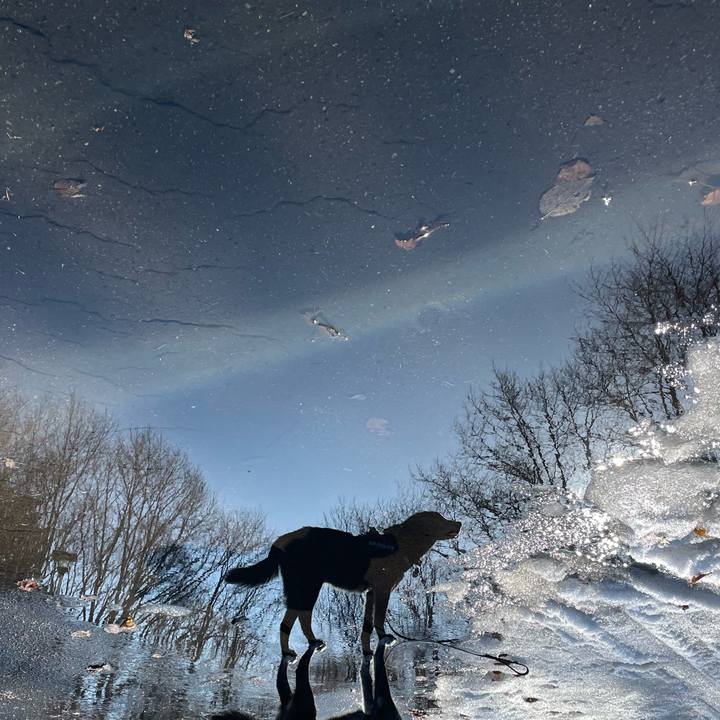 Faf11ad9 8196 44cf b939 649bd4bd66f3 1774423125475