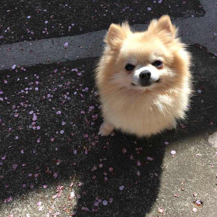 Faf131eb 990b 47d3 8794 d9371255f396 1555065511569