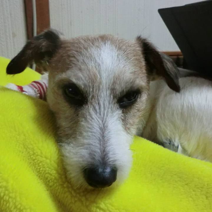 Faf137ff 751d 4581 a601 d11795d99533 1548241053452